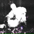 Venus88