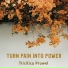 Tricilica Pruwel