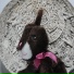 Rabit323