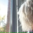loldoll