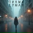 ПИКМИ