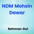 Rehman Gul