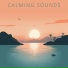 Meditation Music Relaxation