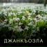 Заира Эдиева
