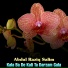 Abdul Raziq Salim