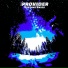 Provider