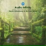 Audio Infinity