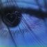 nw2b