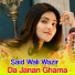 Said Wali Wazir