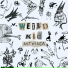 weird kid