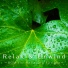 Relaxing BGM Project