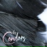 Los Condors