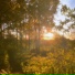 sunfade