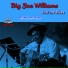 Big Joe Williams