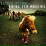 Gaelic Storm