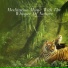 symphony orchestra sound of nature