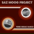 Saz Moog Project