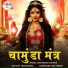 Deepshikha Dwivedi