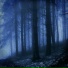 SHEYKER, l3n41kqq