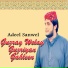 Adeel Sanwel