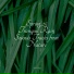 Nature Soundscape, Regen, Rain Recorders