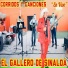 El Gallero De Sinaloa