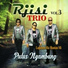 Rjisi Trio