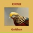 Ornu