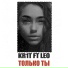 KR1T feat. LEO