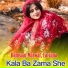 Damsaaz Marwat, Farzana