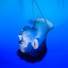 Darren Dreyer