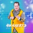 Винарис Ильегет