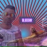 Mc KL da Zn