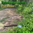 Crypt Runner