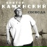 Виктор Каменский