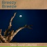 Breezy Breeze