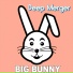 Big Bunny