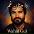 Wahid Gul