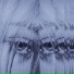 Sillage