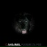 c ansambl