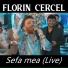 Florin Cercel