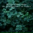 Relaxing BGM Project