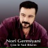 Norî Germîyanî