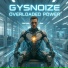 GYSNOIZE