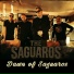 The Saguaros