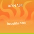 Bidin abie