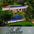 Stellae