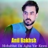 Anil Bakhsh