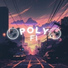 Poly Fi