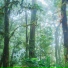 Rain & Sleep
